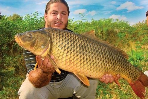 Montura D RIG in opt pasi